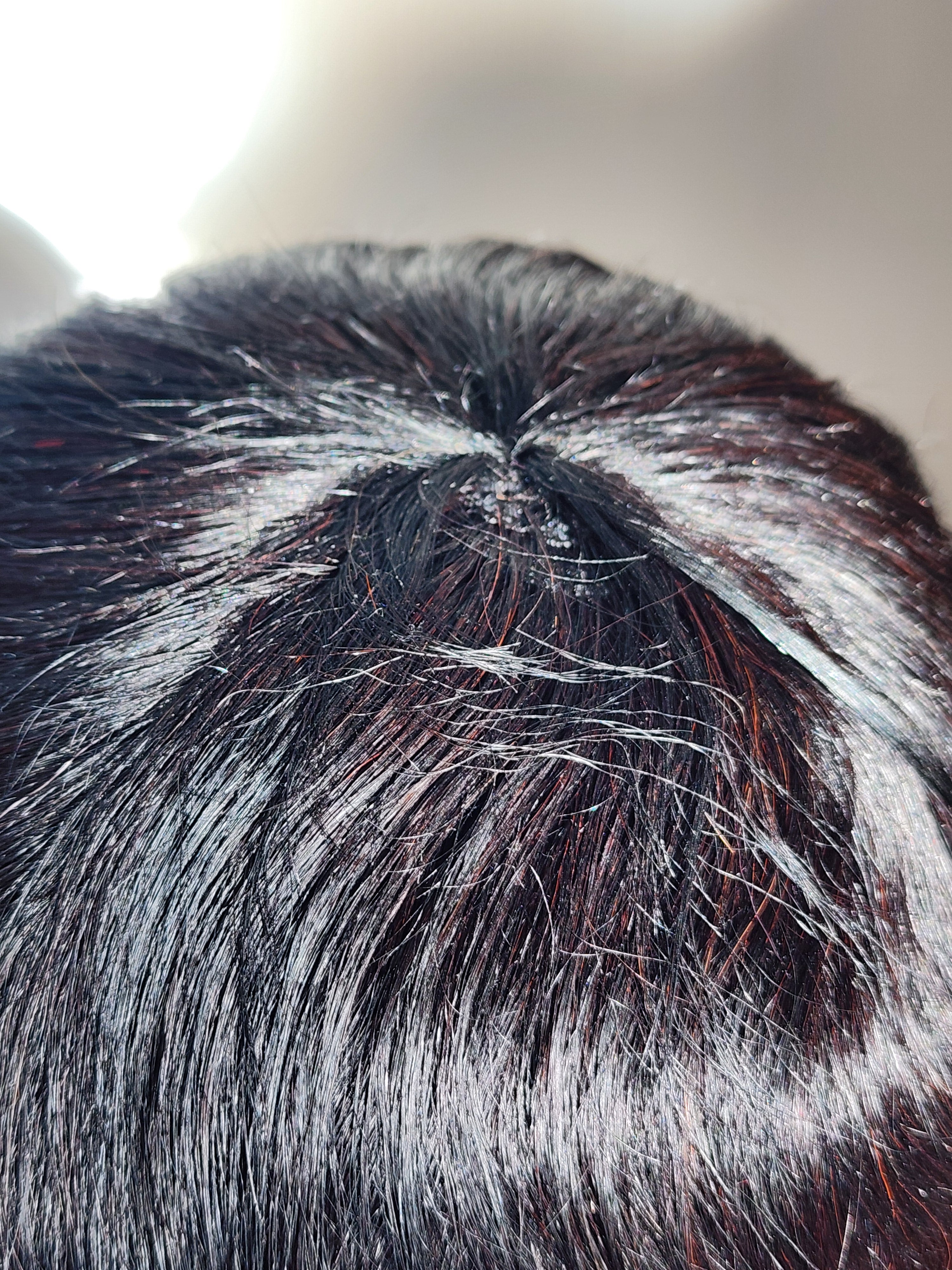 JO Black Pixie Cut Wig